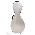 Fiberglass Hardcase for Zhongruan