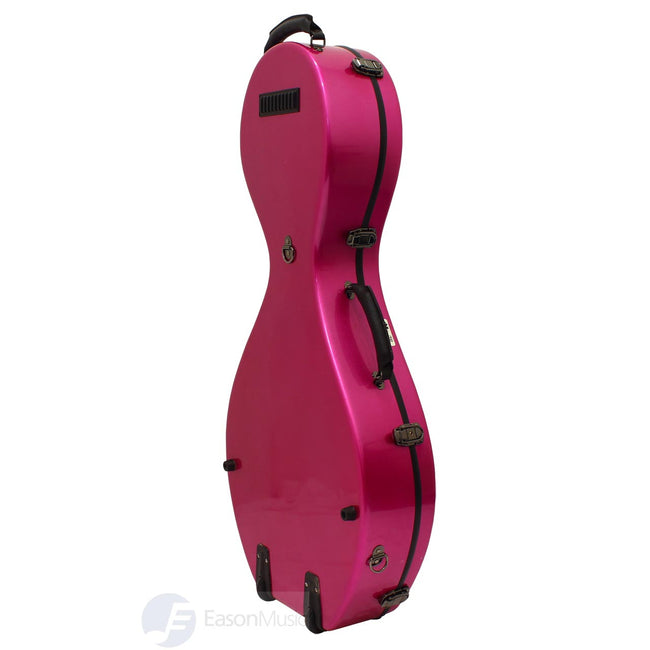 Fiberglass Hardcase for Zhongruan
