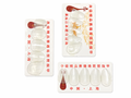Starter Celluloid Pipa Synthetic Nails